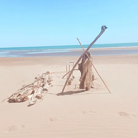 Oasis Terrasse & Calme Tatil Evi